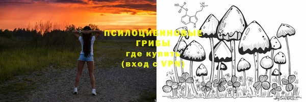 PSILOCYBIN Богородицк